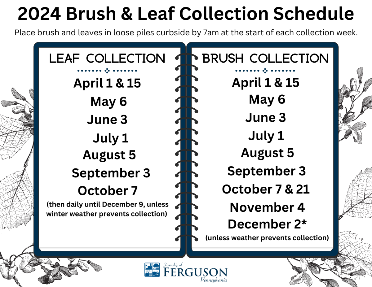 2024 brush and leaf schedule