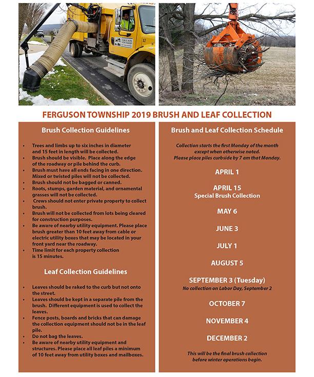 Brush and leaf collection guidelines