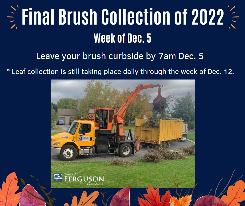 brush collection