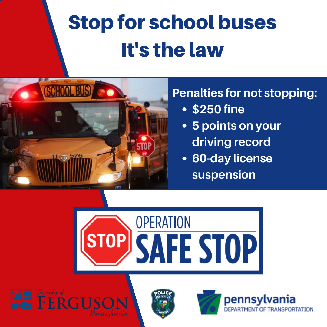 stop for school buses psa