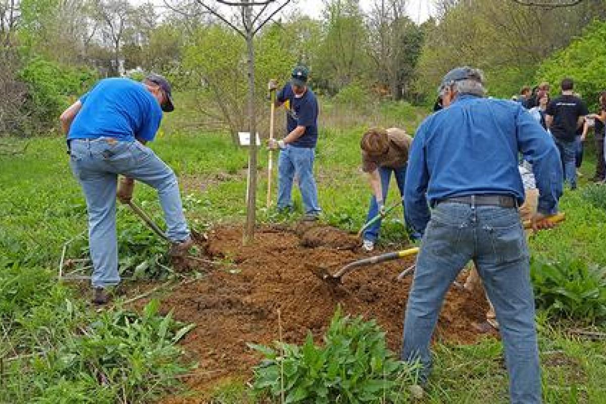2017 Arbor Day in Ferguson Township