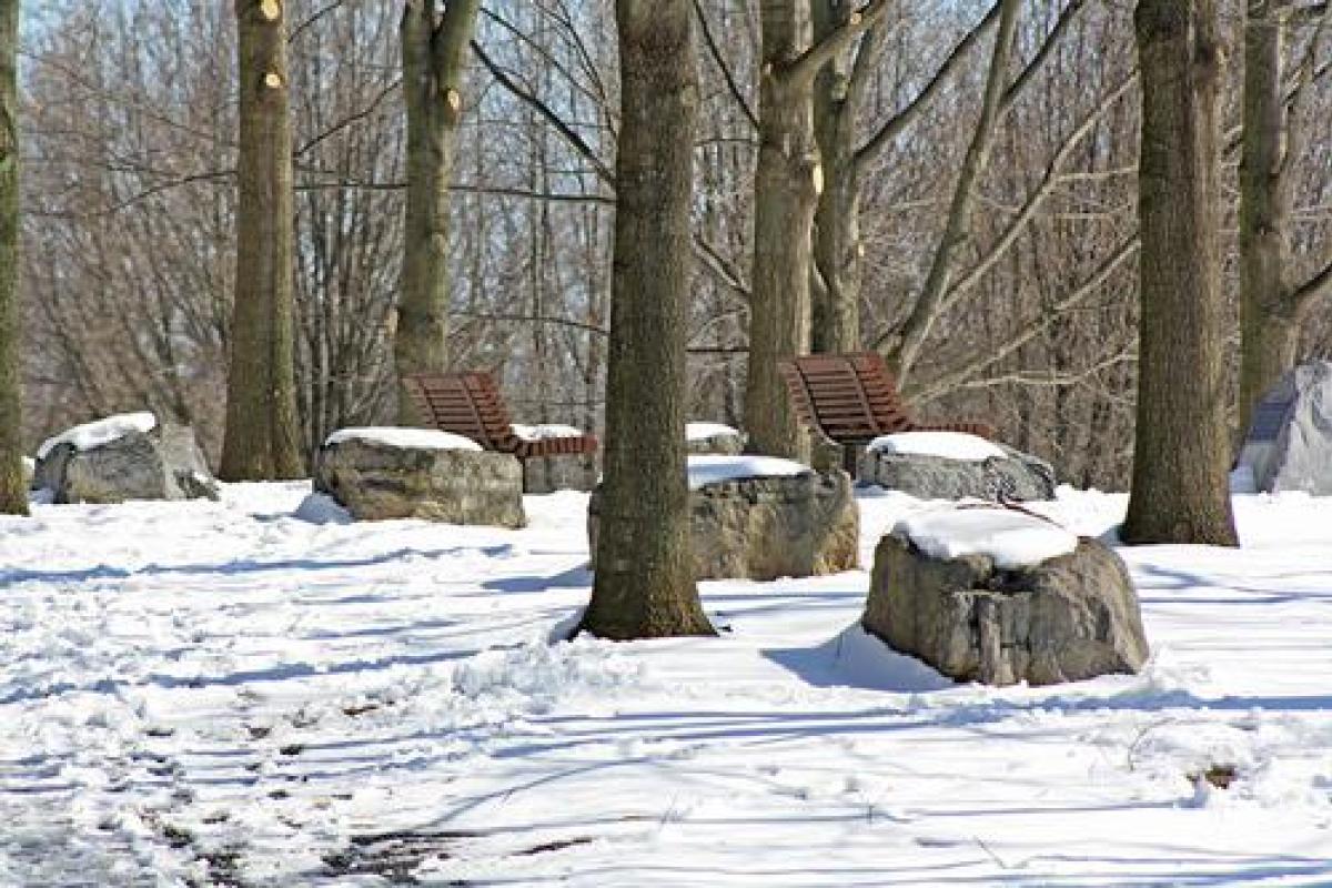 A Winter Walk through Tom Tudek Memorial Park