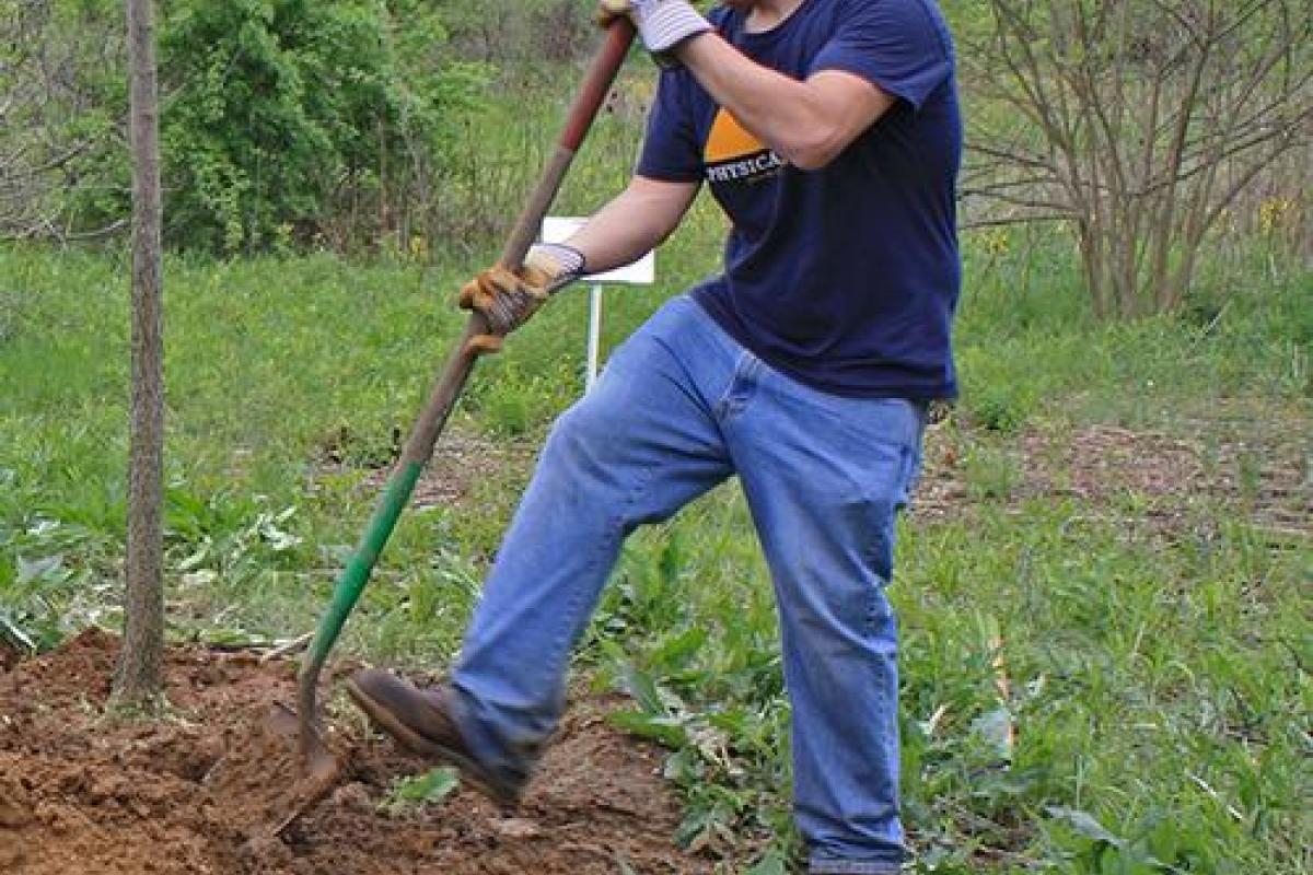 Arborist Lance King