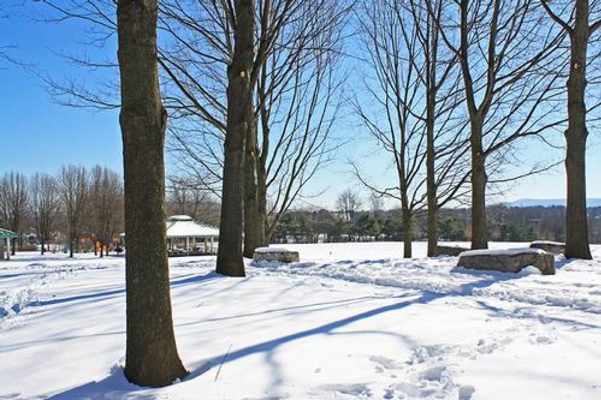 A Winter Walk through Tom Tudek Memorial Park