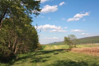 Pasture