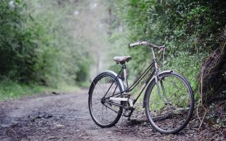 Bike on Wooded Path