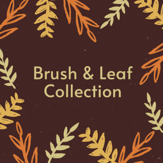 brush and leaf collection