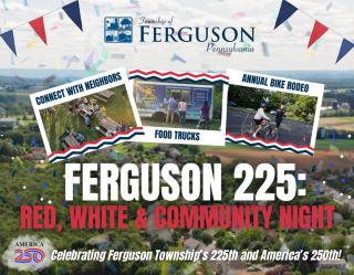 Ferguson 225