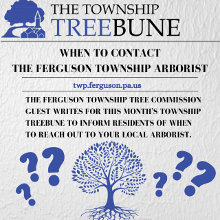 Township Treebune Vol. 3