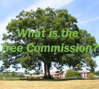 Tree Commission