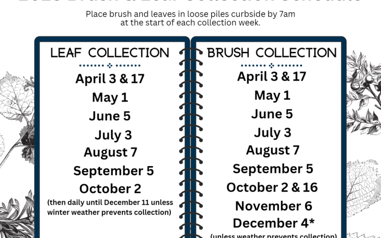 brush and leaf collection