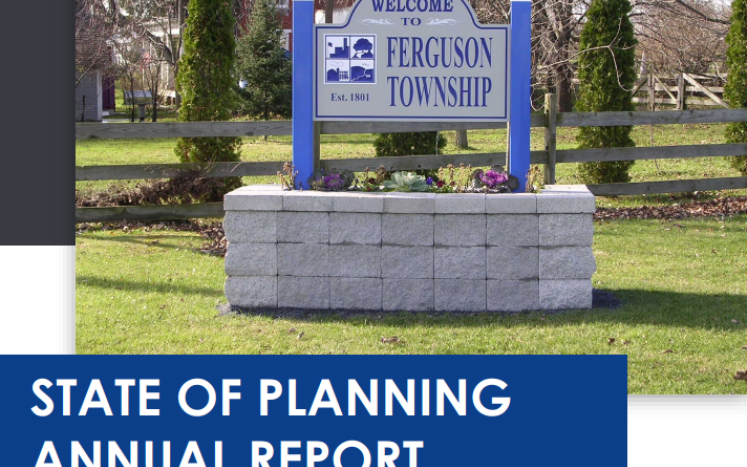 2022 State of Planning Report