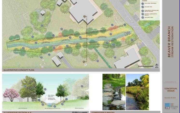 Beaver Branch Tributary Proposed Design