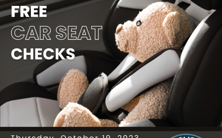 car seat safety checks