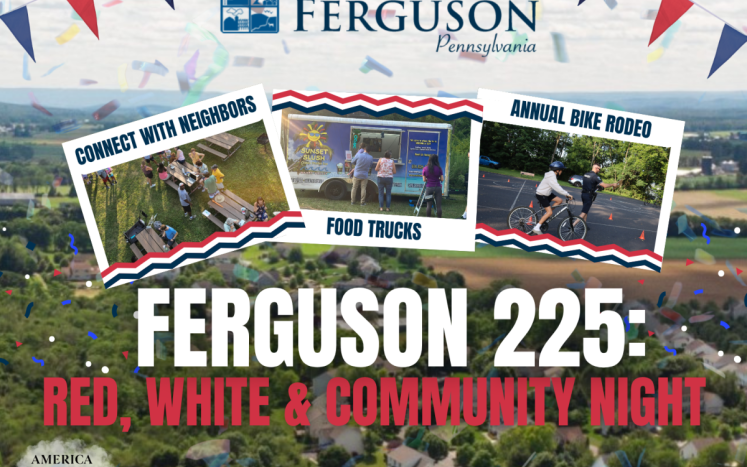Ferguson 225