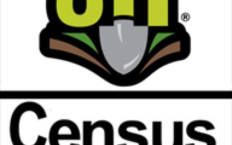 Census 2020 and 8-1-1 Dig