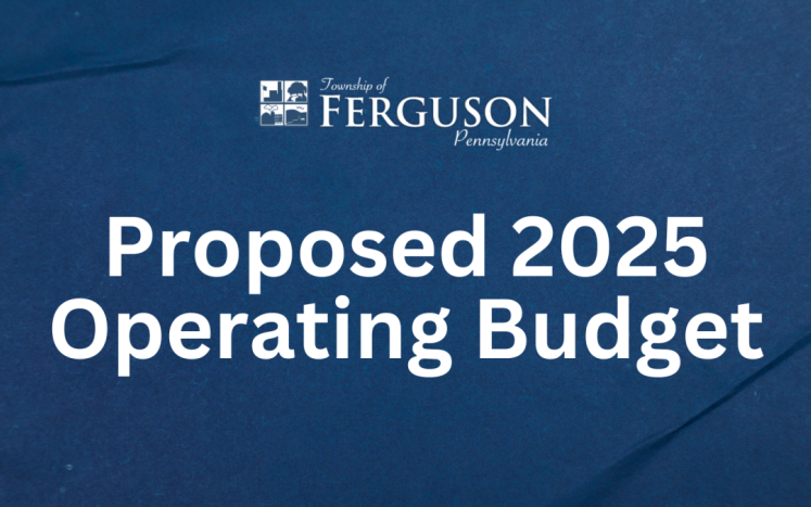 Proposed 2025 Operating Budget