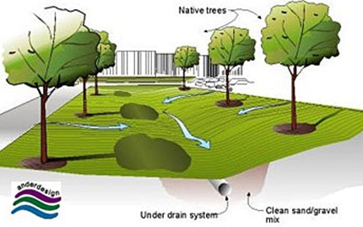 Stormwater Management in Construction Diagram