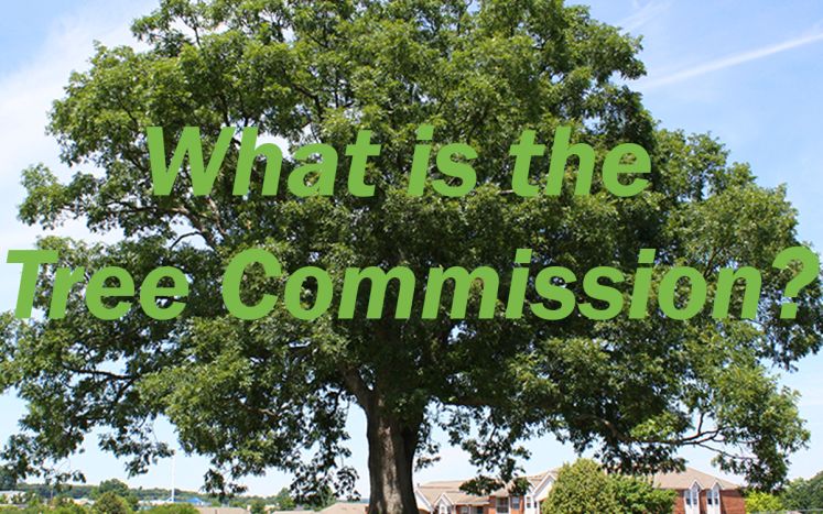 Tree Commission
